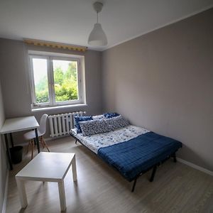 Pokoje Blisko Starego Miasta - Rooms For Rent